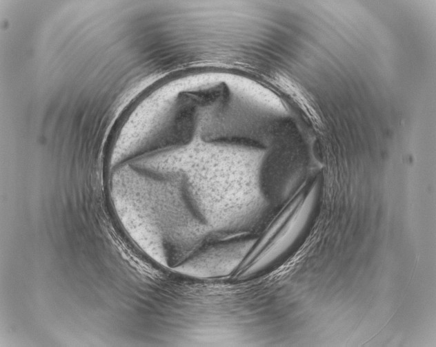 X0000087340884200705111545