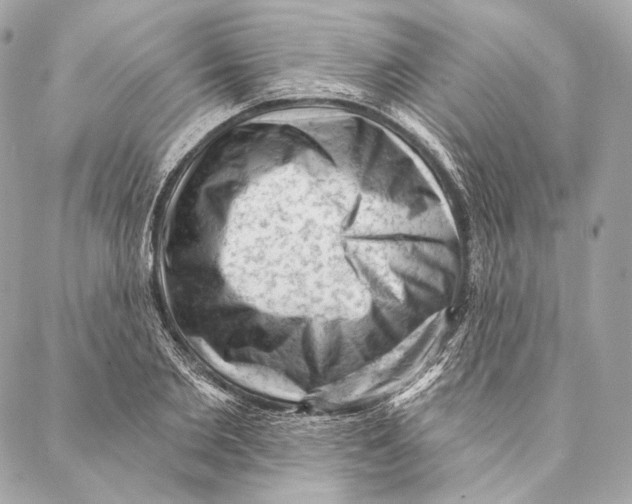 X0000087340885200705111545
