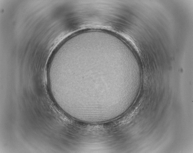 X0000087340887200705111545