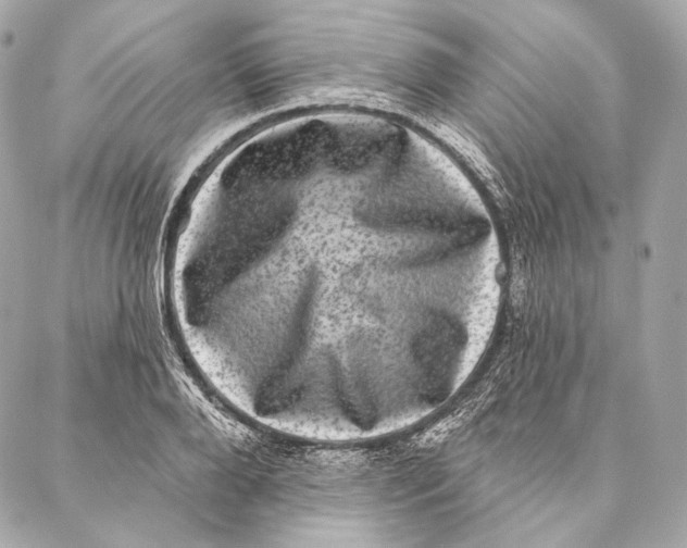 X0000087340888200705111545