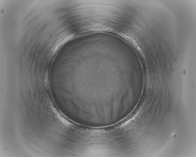 X0000087340889200705111545