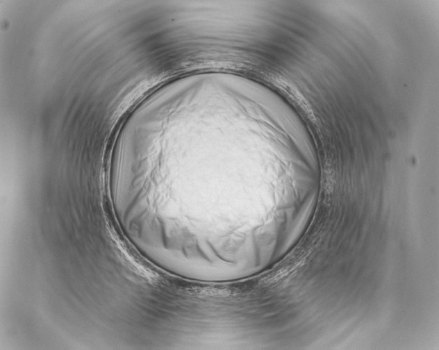 X0000087340890200705111545
