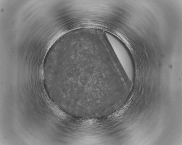 X0000087340891200705111545
