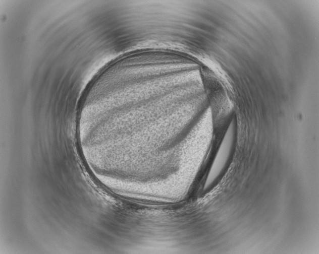 X0000087340896200705111545