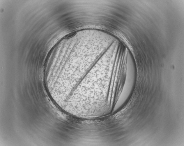 X0000087340898200705111545