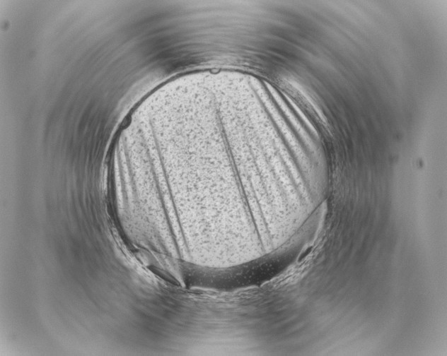 X0000087340900200705111545