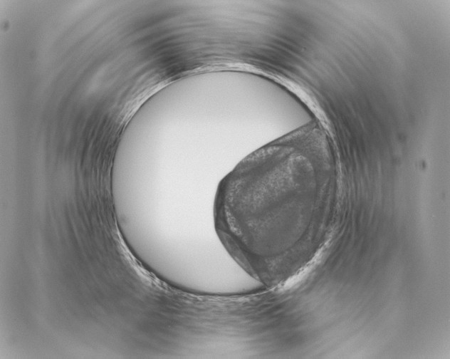 X0000087340905200705111544