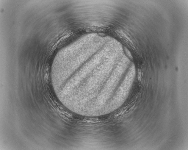 X0000087340915200705111544