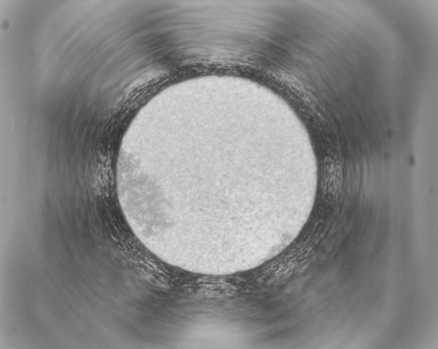X0000087340918200705111544