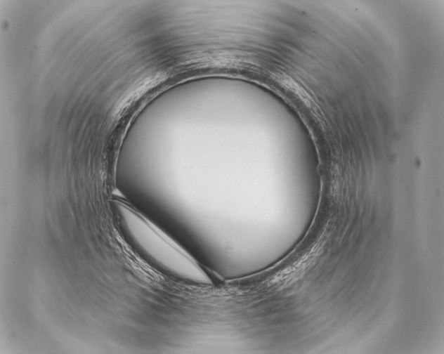 X0000087340922200705111544