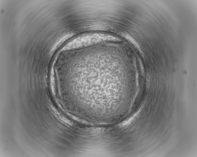 X0000087340930200705111544