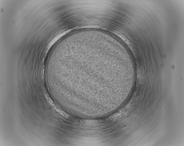 X0000087340933200705111544