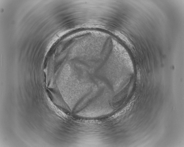 X0000087340934200705111544