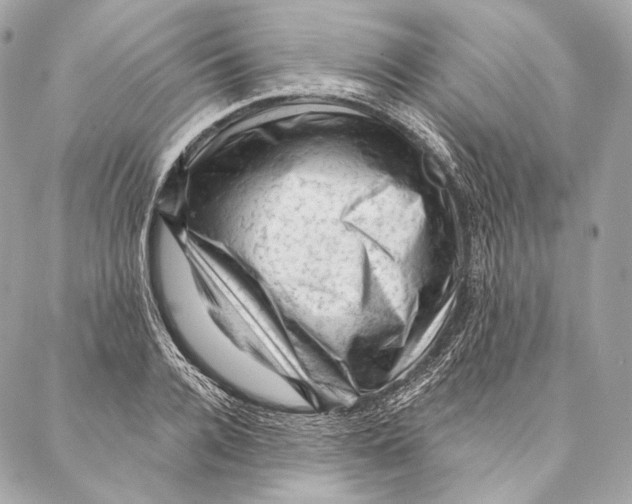 X0000087340936200705111544