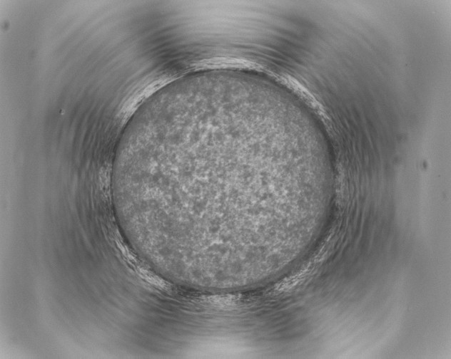 X0000087340937200705111544