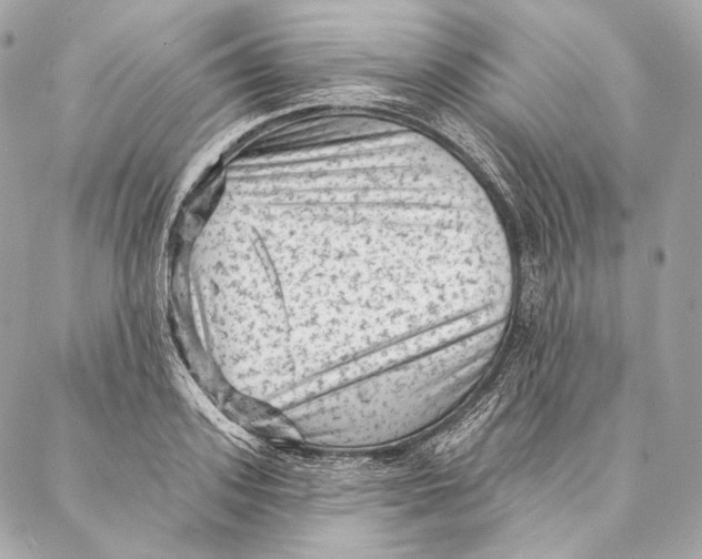 X0000087340939200705111544