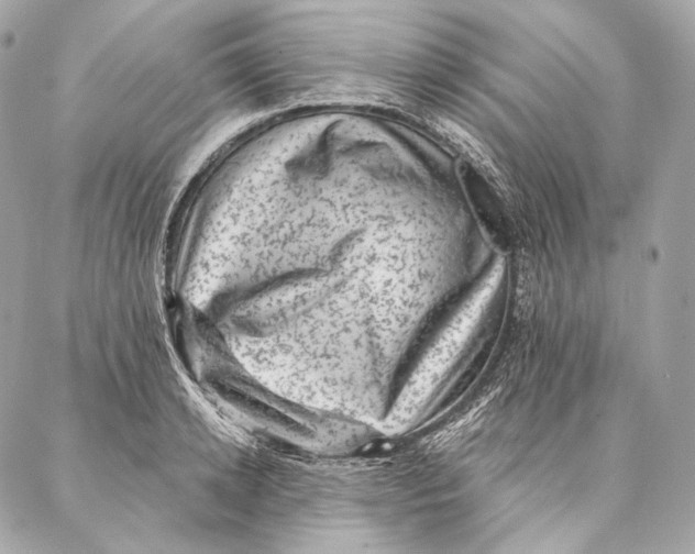 X0000087340942200705111544