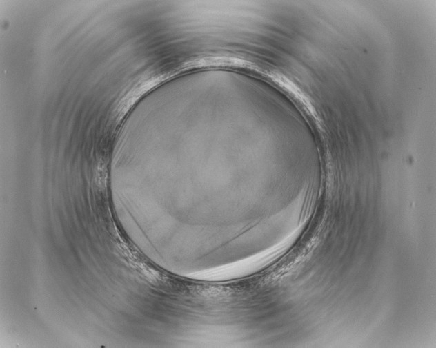 X0000087340945200705111544