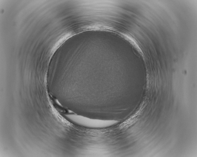 X0000087340946200705111544