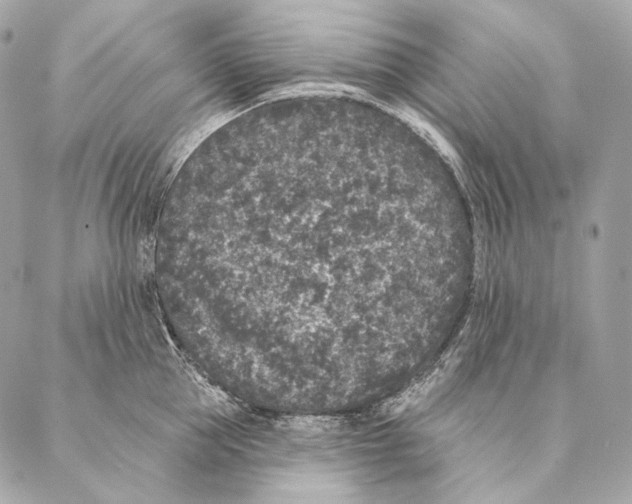 X0000087340953200705111544