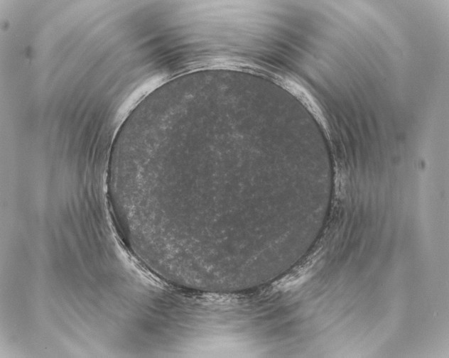 X0000087340954200705111544