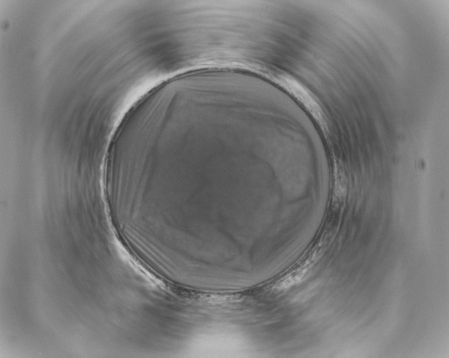 X0000087340958200705111544