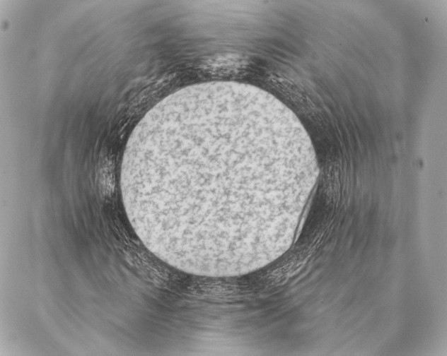 X0000087340962200705111544