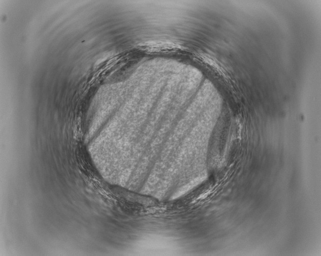 X0000087340965200705111543