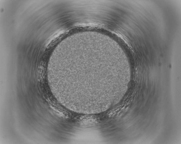 X0000087340967200705111543