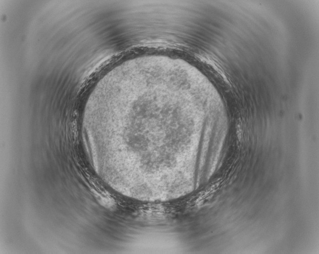 X0000087340968200705111543