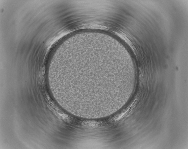X0000087340971200705111543