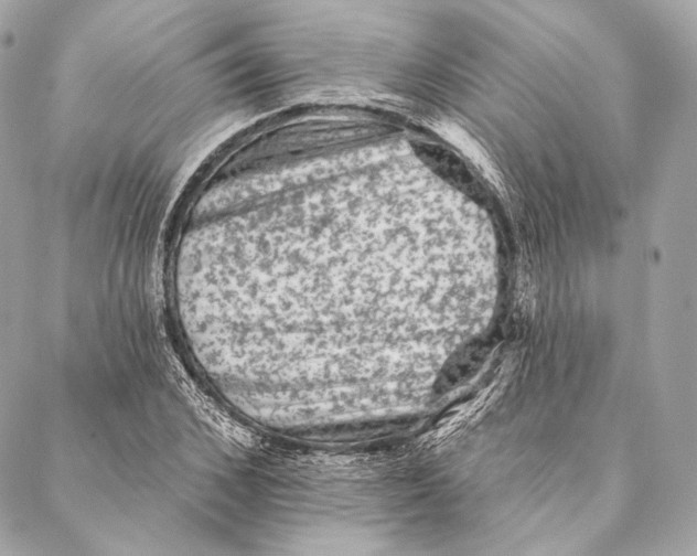 X0000087340976200705111543