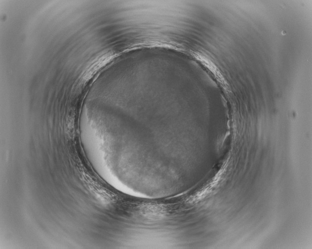 X0000087340977200705111543