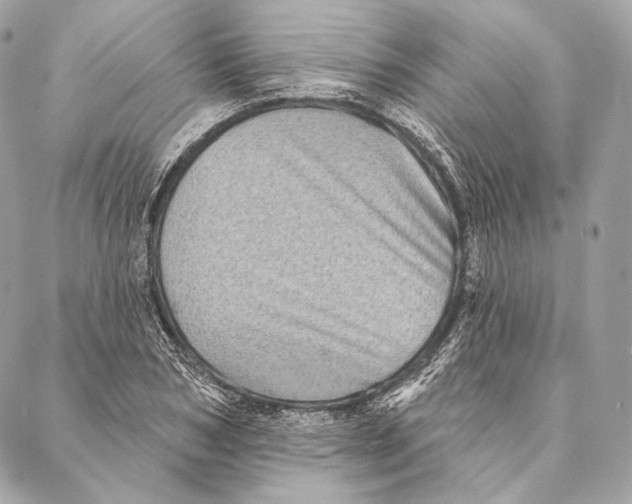 X0000087340978200705111543