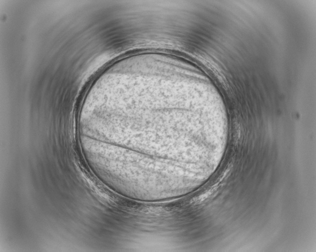 X0000087340982200705111543
