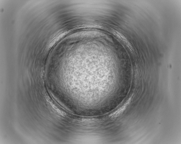 X0000087340985200705111543