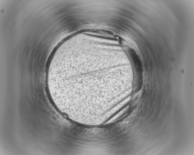 X0000087340992200705111543