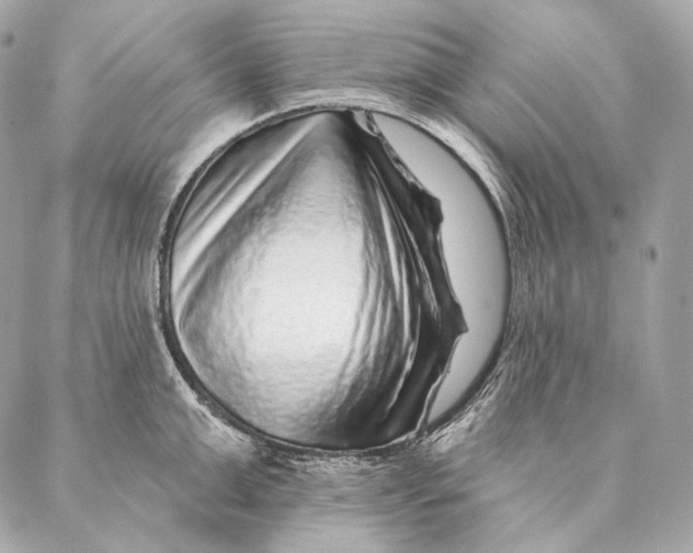 X0000087340999200705111543