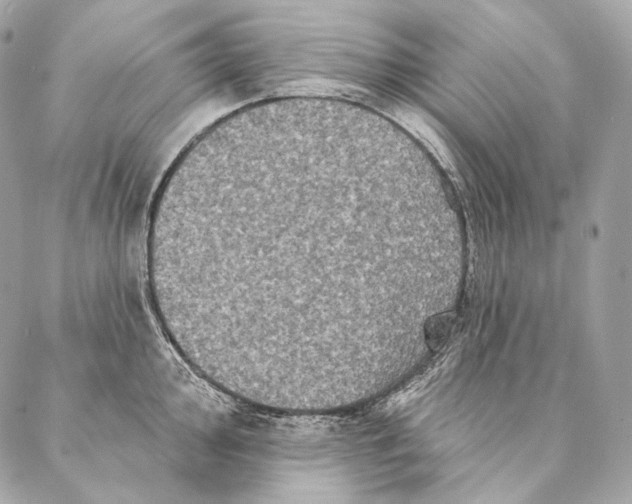 X0000087341000200705111543