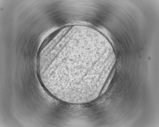 X0000087341003200705111543