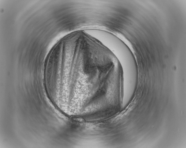 X0000087341005200705111543