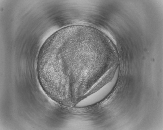 X0000087341007200705111543