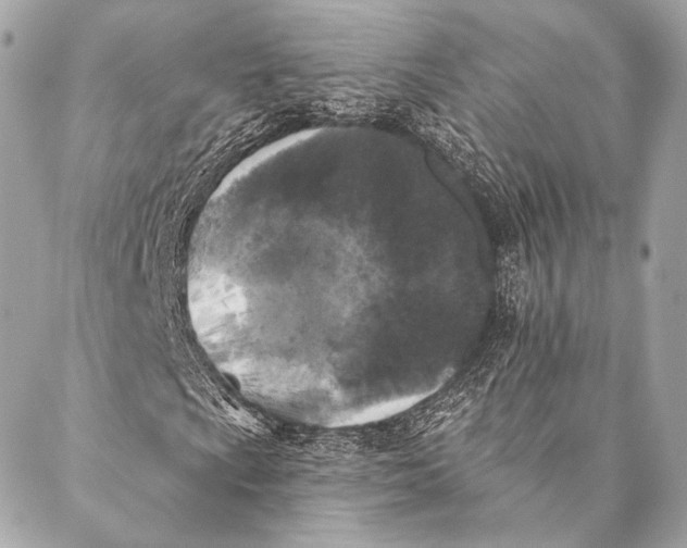 X0000087341009200705111542