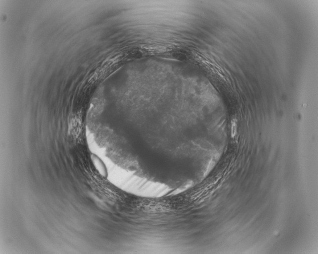 X0000087341011200705111542