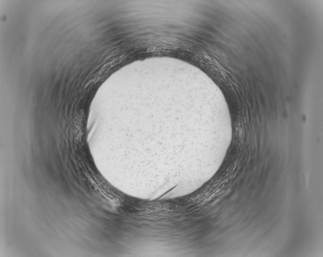 X0000087341012200705111542