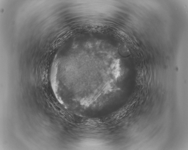 X0000087341013200705111542