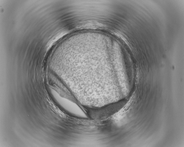 X0000087341018200705111542