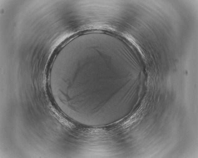 X0000087341024200705111542