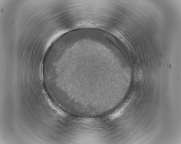 X0000087341030200705111542
