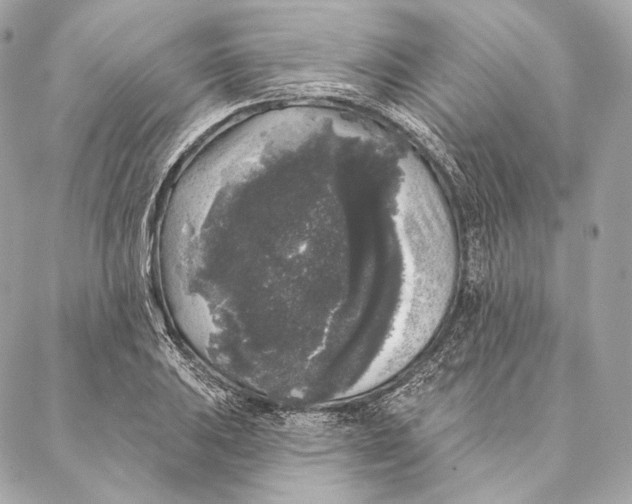 X0000087341031200705111542